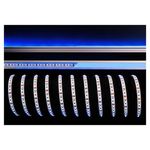 KapegoLED LED Flex Stripe Blue 5m 12V