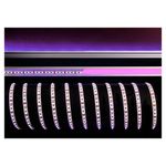 KapegoLED LED Flex Stripe Pink 5m 12V
