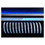 KapegoLED LED Flex Stripe RGB 5m 24V