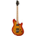 Evh Wolfgang WG Standard CB