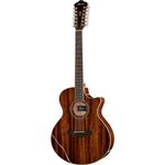 Ibanez AE2412-NT