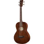 Ibanez AVNB1E-BV Artwood Bass