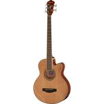 Ibanez AEB105E-NT Acoustic Bass