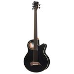 Warwick Alien Deluxe 5 FL BK SHP