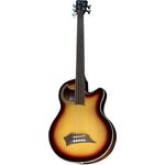 Warwick Alien Deluxe 5 FL VI SBST