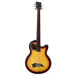 Warwick Alien Standard 5 FL VI SBST