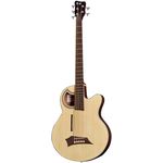 Warwick Alien Deluxe 5 Hybrid Thinline