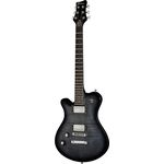 Framus D-Series Panthera Supreme LH