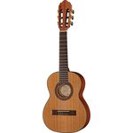 VGS PRO ARTE CM-25 Maestro