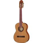 VGS PRO ARTE CM-50 Maestro