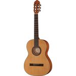 VGS PRO ARTE CM-100 Maestro