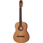 VGS PRO ARTE CM-130 Maestro