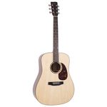 Recording King RD-G6 Solid Top Dreadnought
