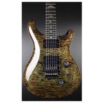 PRS Custom 24 WL Floyd MH