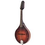 The Loar LM-110-BRB