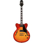 Prestige Guitars Musician Pro DC CS