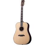 Framus Legacy FD28 Jörg Nassler Satin