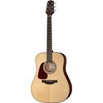 Takamine GD10-N-LH