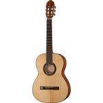 VGS Pro Arte GC100A