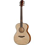 Furch OM-LX LTD Rainbow