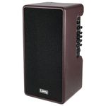 Laney A-Duo