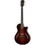 Taylor T5z Custom Cocobolo CH