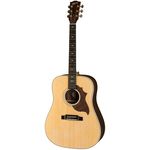 Gibson Hummingbird Sustainable N