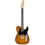 Fender AM Perf Tele RW HBST