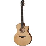 Furch Blue plus GC-SW w/LRBaggs
