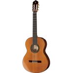 Alhambra 5P incl.Gig Bag