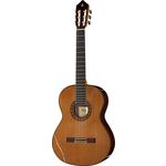 Alhambra 10 Premier w/Case