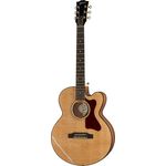 Gibson Parlor AG AN 2019