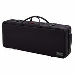 bam 2005SN Violin Double Case