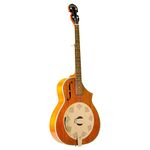 Gold Tone Dojo Banjo