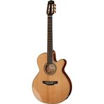 Takamine CNC-WS1