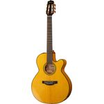 Takamine CNC-WS2