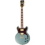 DAngelico Deluxe Brighton SB