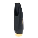 Selmer Alto Sax Claude Delangle