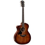 Taylor 224ce-K DLX-LH