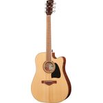 Ibanez AW417CE-OPS