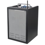 Elite Acoustics D6-8 MKII Acoustic Amplifier