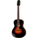The Loar LO-18-VS Adirondack Spruce