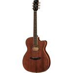 Framus FF 14 M Folk LS