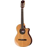 Alhambra CS-LR CW E1 incl. Gig Bag