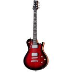 Framus Teambuilt Pro S Panthera II BB