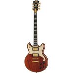 DAngelico Deluxe Brighton LTD Matte WN