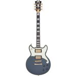 DAngelico Deluxe Brighton LTD Charcoal