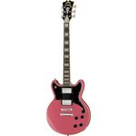 DAngelico Premier Brighton Oxblood