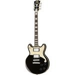 DAngelico Premier Brighton Black Flake