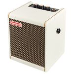 Positive Grid Spark Mini PW